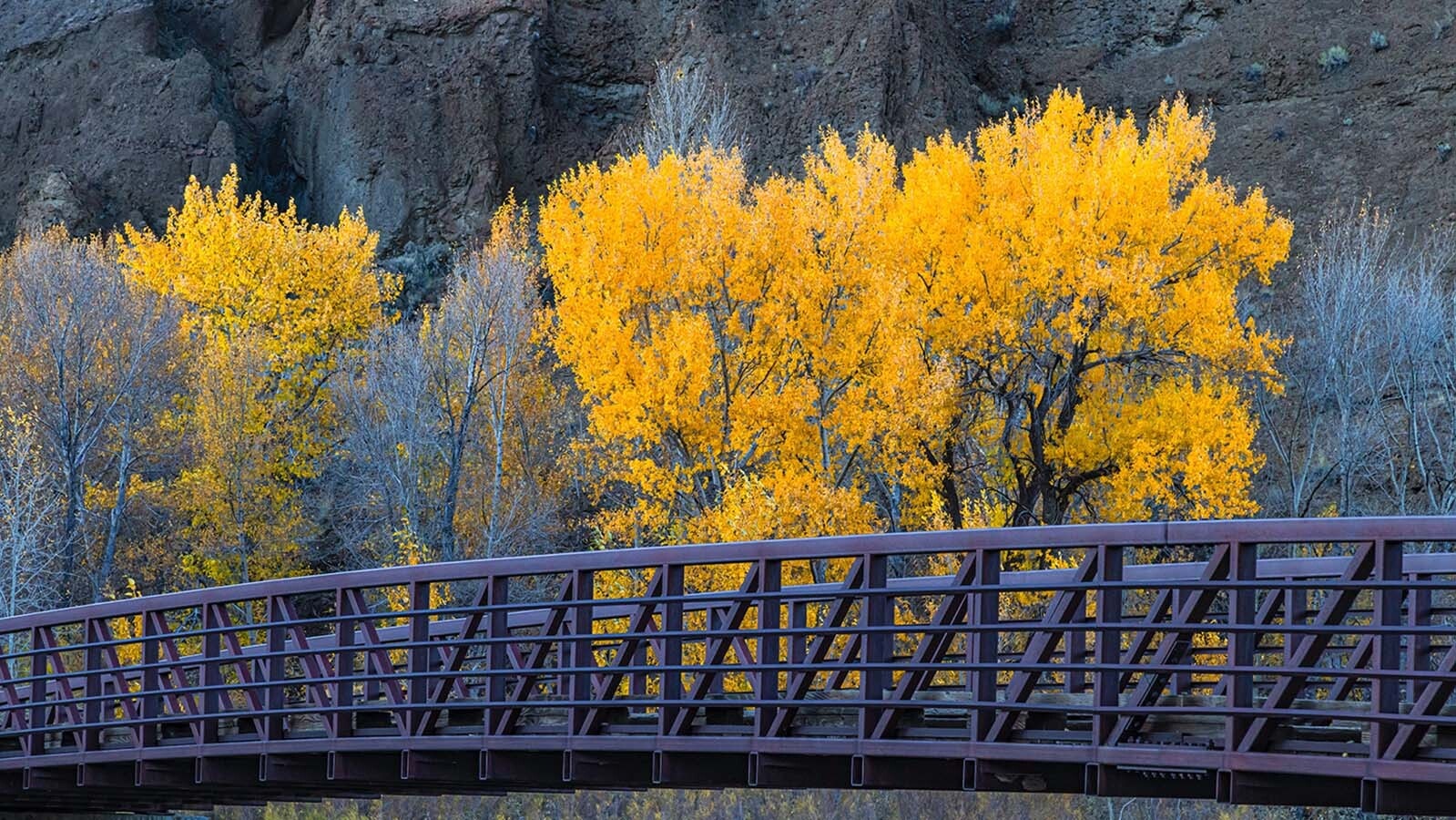 The fall colors pop near this bridge in Sweetwater County.