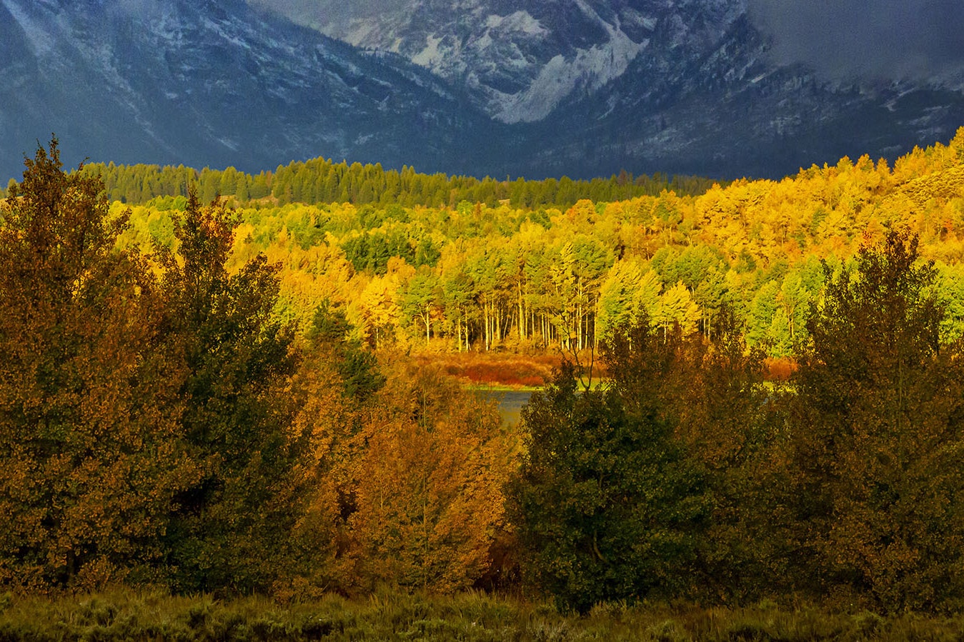 Fall in full effect in Grand Teton National Park in Wyoming.