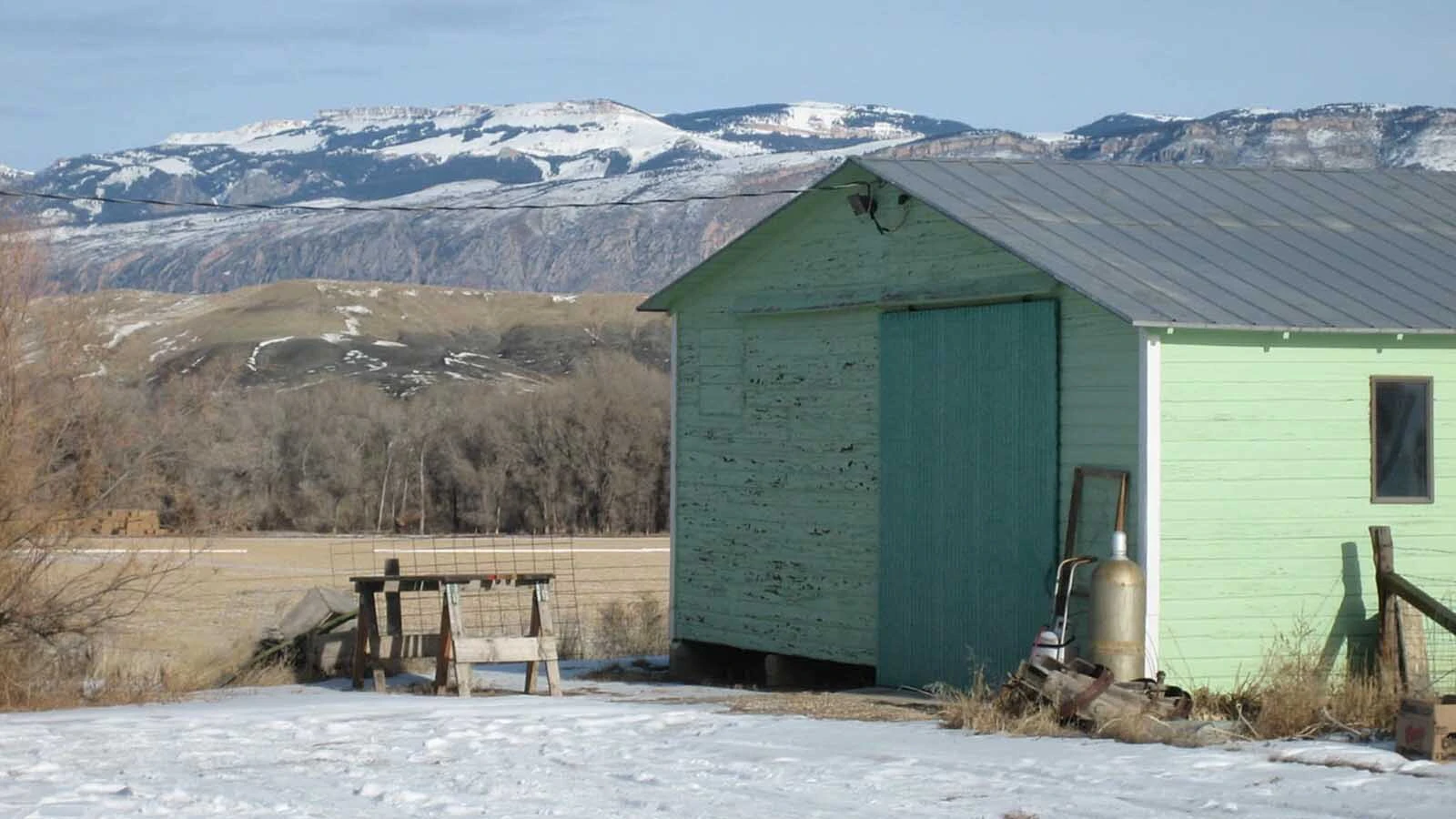 The Whaley family had homesteaded in Shell, Wyoming, in 1890 and all but one of the eight children had raised their own families in Wyoming.