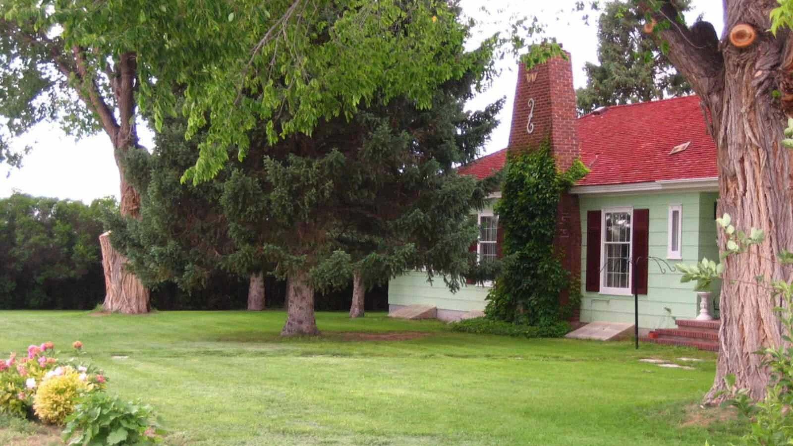 The Whaley family had homesteaded in Shell, Wyoming, in 1890 and all but one of the eight children had raised their own families in Wyoming.