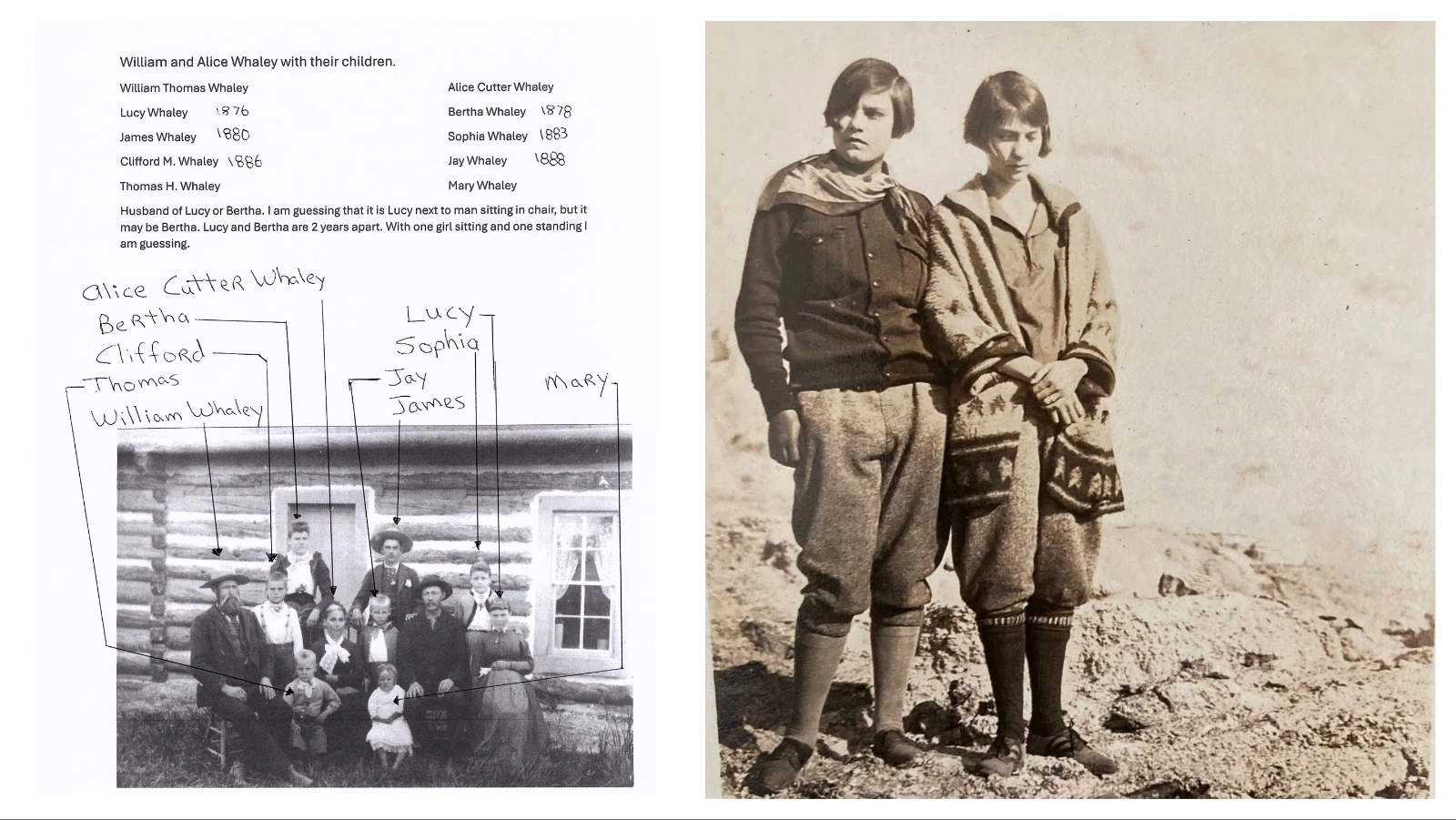 William and Alice Whaley arrived in Shell, Wyoming, in 1890 where they raised eight children. Seven remained in Wyoming but their son, Clifford, moved to New York for school. He raised his own family back East and kept in touch with his Wyoming family but, over the years, the families lost touch.