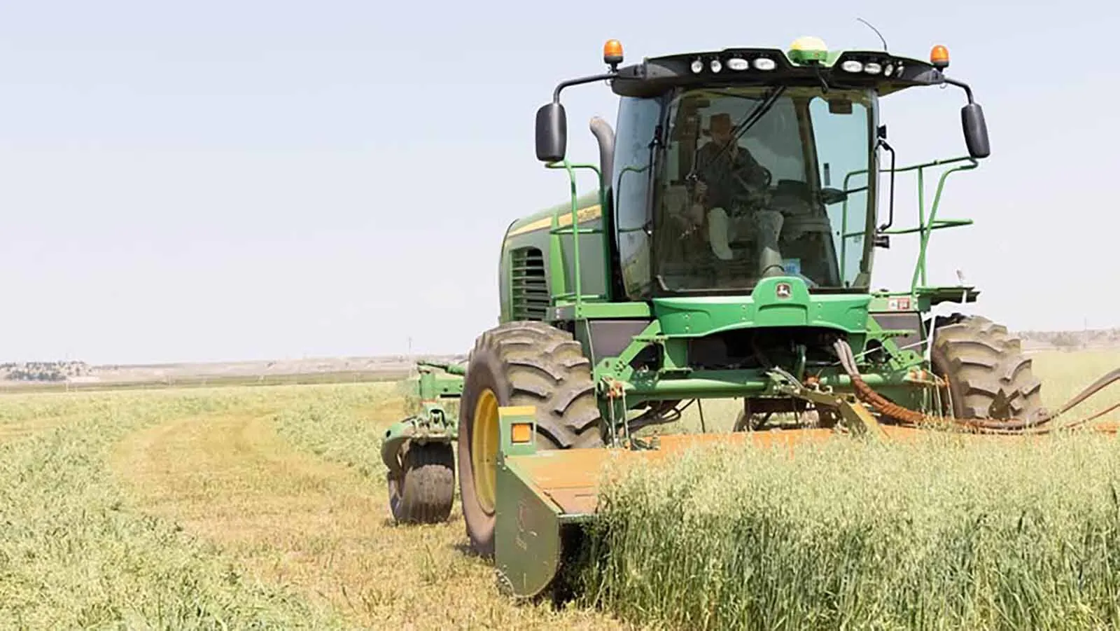 High fertilizer costs and severe drought is leaving Wyoming’s famers and ranchers making tough choices. “It’s kind of the perfect storm for agriculture,” one farmer said, adding many aren’t fertilizing this year because it’s too expensive.