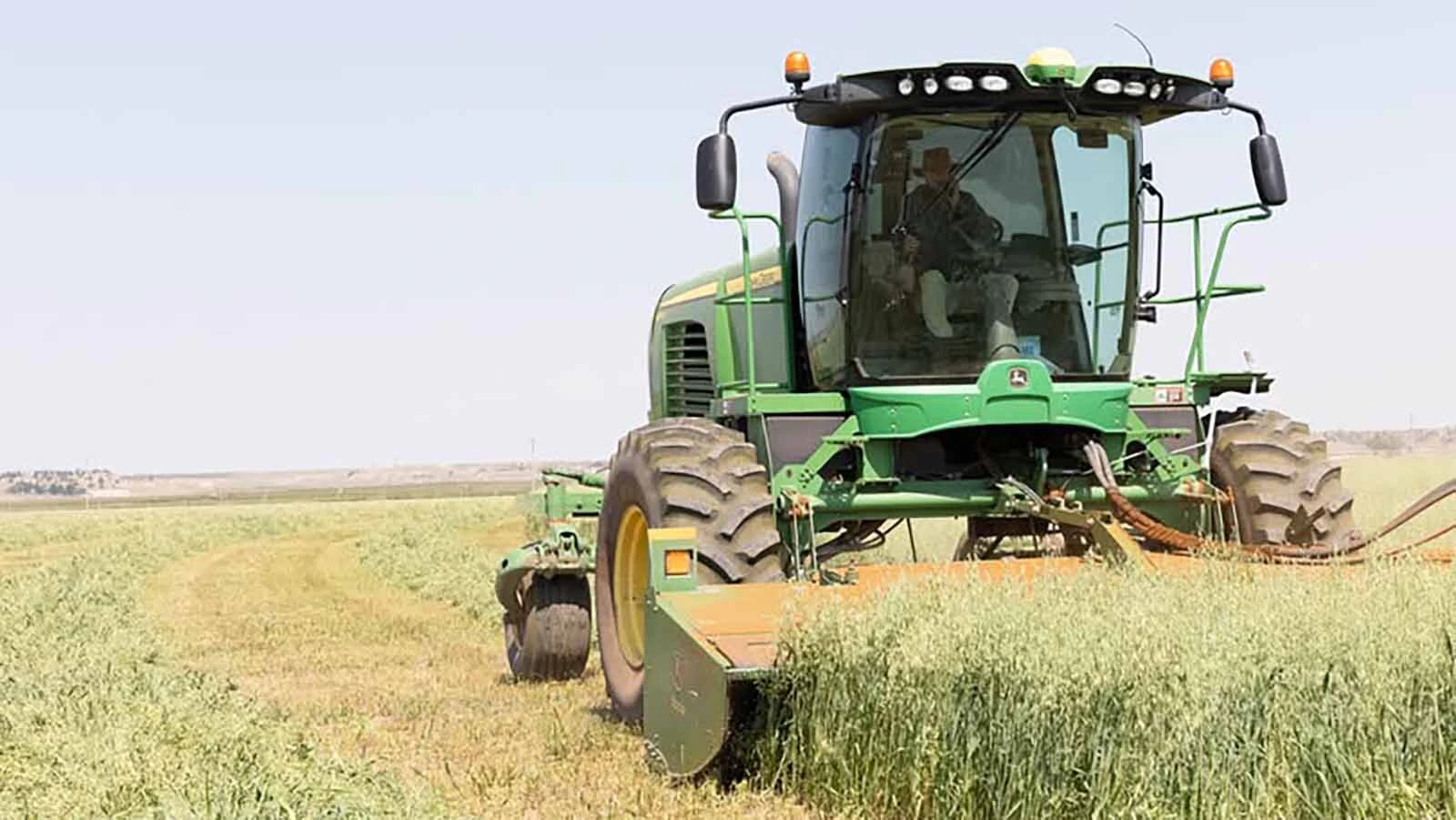 High fertilizer costs and severe drought is leaving Wyoming’s famers and ranchers making tough choices. “It’s kind of the perfect storm for agriculture,” one farmer said, adding many aren’t fertilizing this year because it’s too expensive.