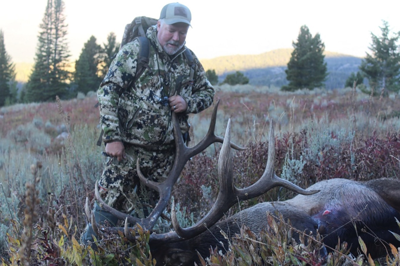 Ed Epperson of Cody bagged this massive bull elk, his first archery bull, with the help of his son, Dalton.