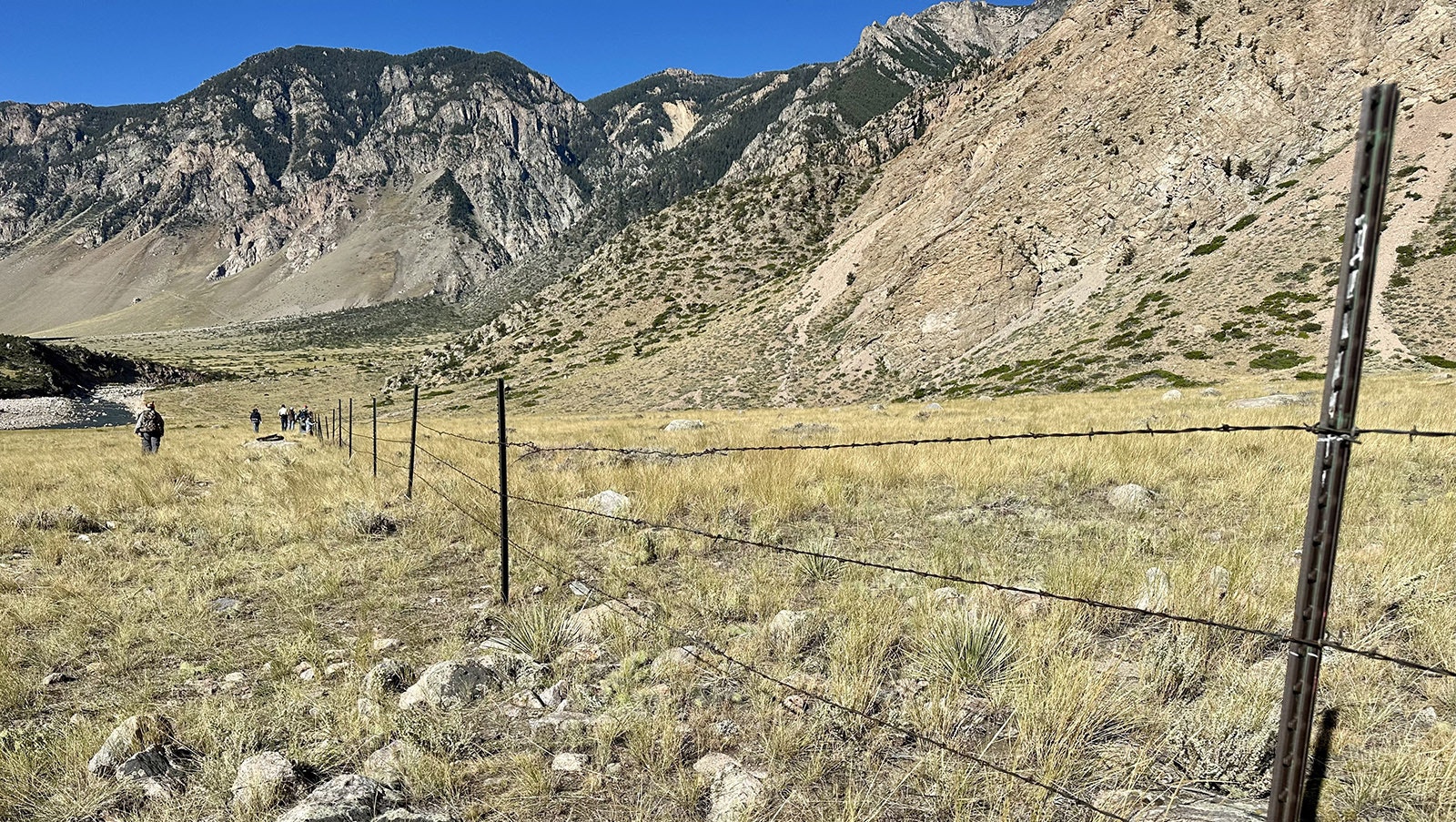 The modified right-of-way fencing near the Clarks Fork Canyon parking area. The modified fence has a lower top wire and a higher low wire so animals can more freely go over or under the fence during their natural migrations.