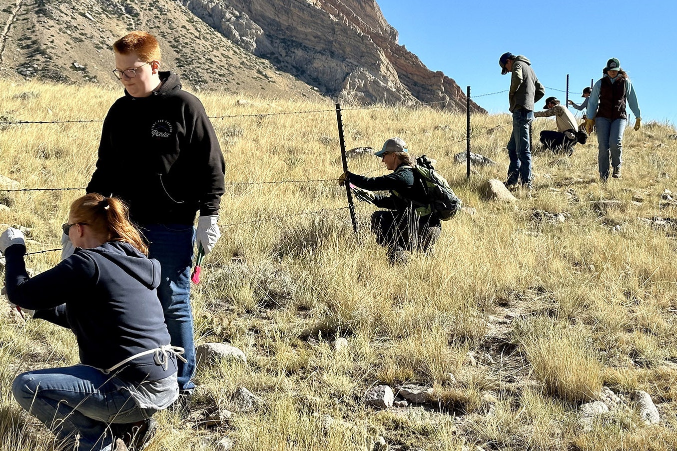 Volunteers of all ages in the Clarks Fork Canyon. Since the Absaroka Fence Initiative started in 2020, over 25 miles of fencing in Park County has been removed or modified. Over 2,000 volunteer hours have been donated to make this progress possible.