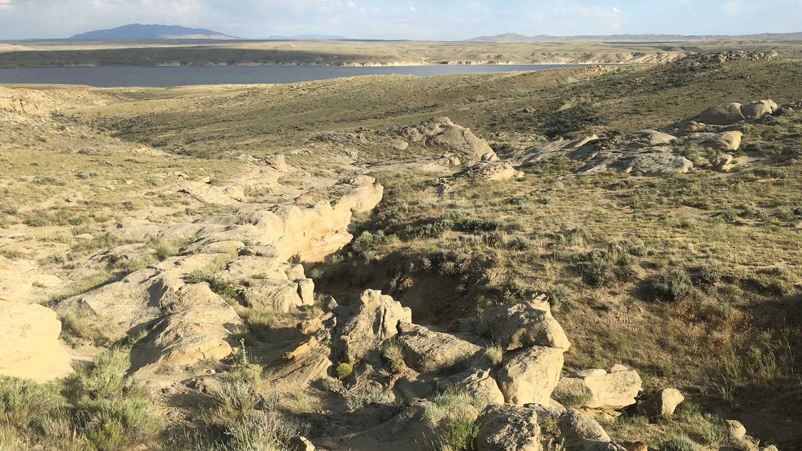 Outcrops of the Ferris Formation near Seminoe Reservoir in Carbon County. These rocks preserve fossil fragments of dinosaurs, crocodiles, turtles, snakes, and other animals that lived in the "latest Cretaceous" of Wyoming, no more than one million years before the Cretaceous-Paleogene extinction event that killed 75% of life on Earth.