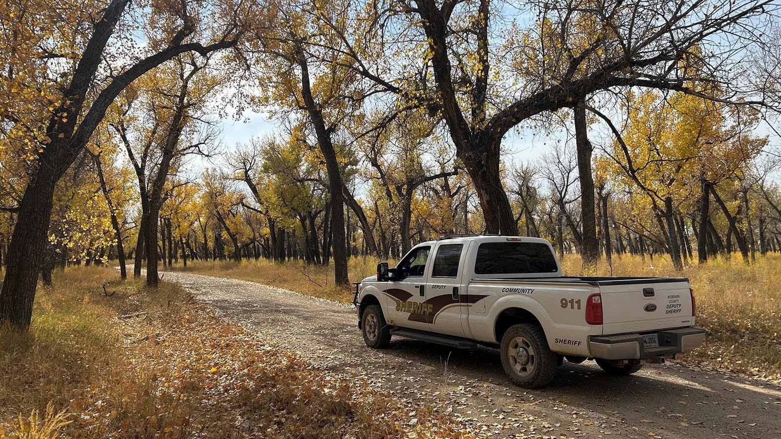 Deputy Clark said they posted this photo of Williams Road to highlight the fall colors.