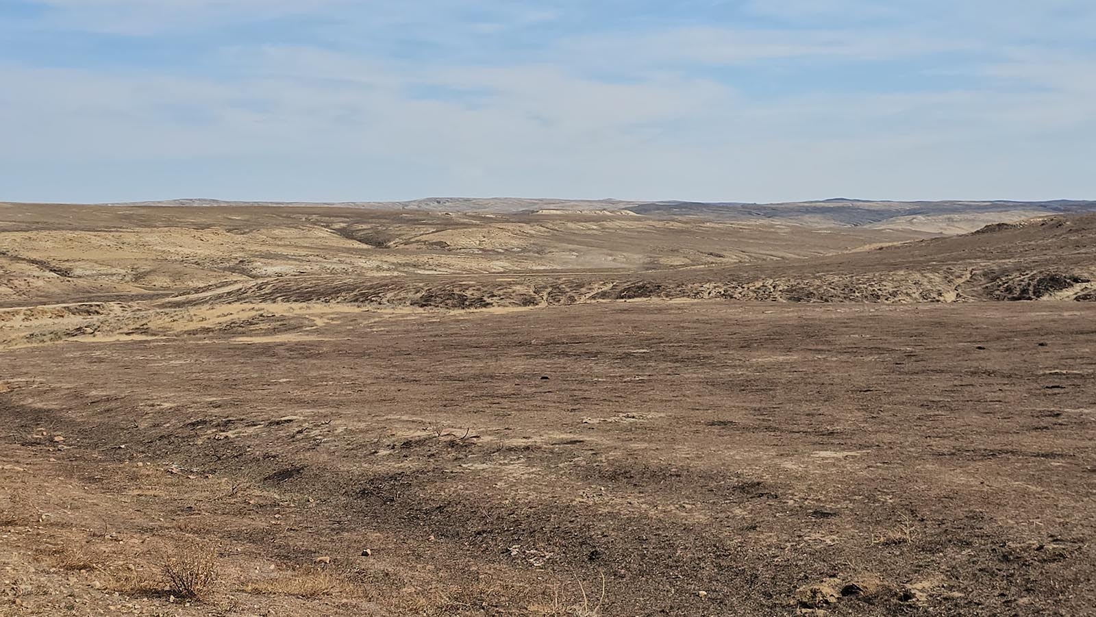 The lighter color of the soil suggests fire was hotter here, and may require preemptive spraying for cheat grass.