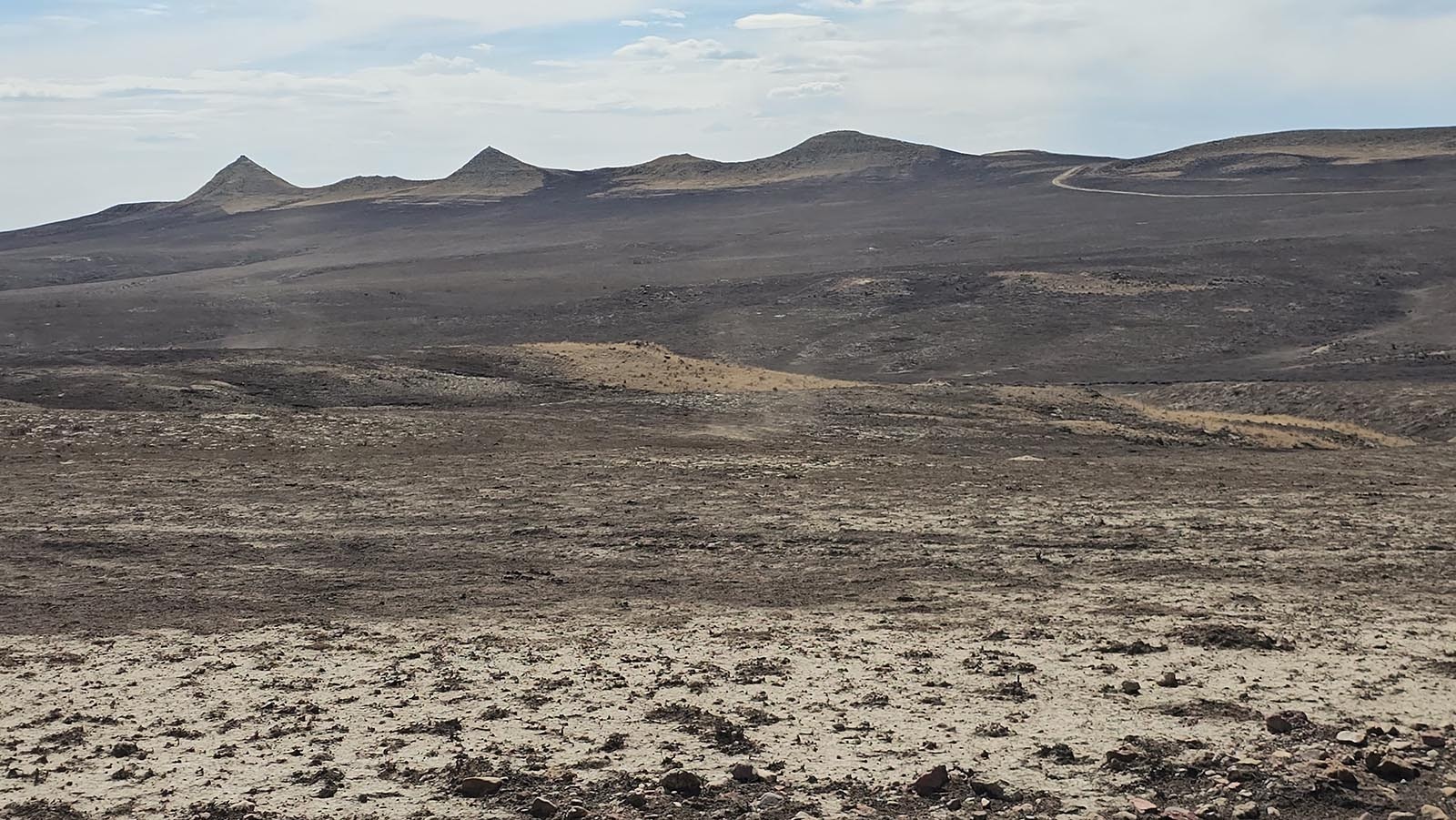 Black as far as the eye can see, with drifts of ash on top. Even the light wind was picking up dirt devils — erosion happening before David Belus' eyes on his ranch, where nearly 50,000 acres went up in smoke.