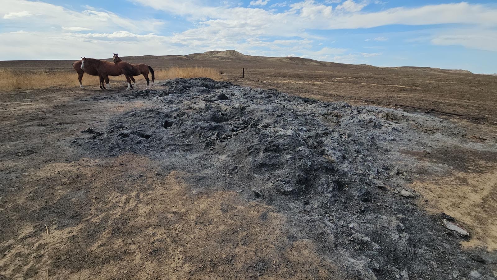 What used to be a pile of 76 hay bales has been reduced to ash.