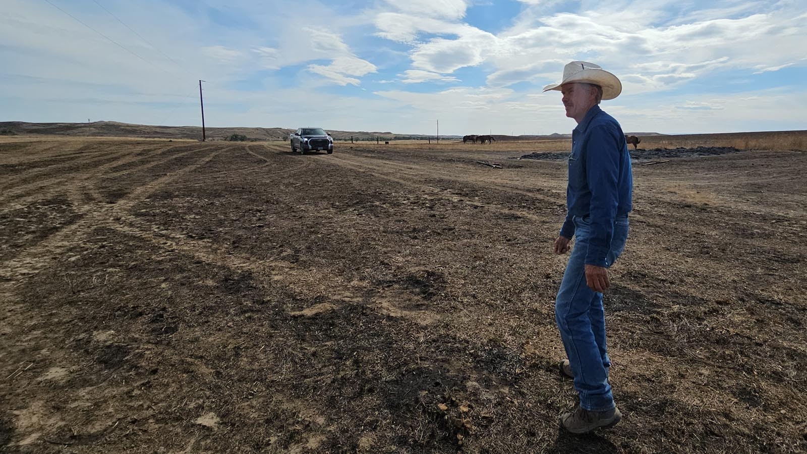 David Belus looks out over scorched land. Fire burnt up nearly 50,000 acres of his ranch, leaving nothing but dirt and dust devils as far as the eye can see.