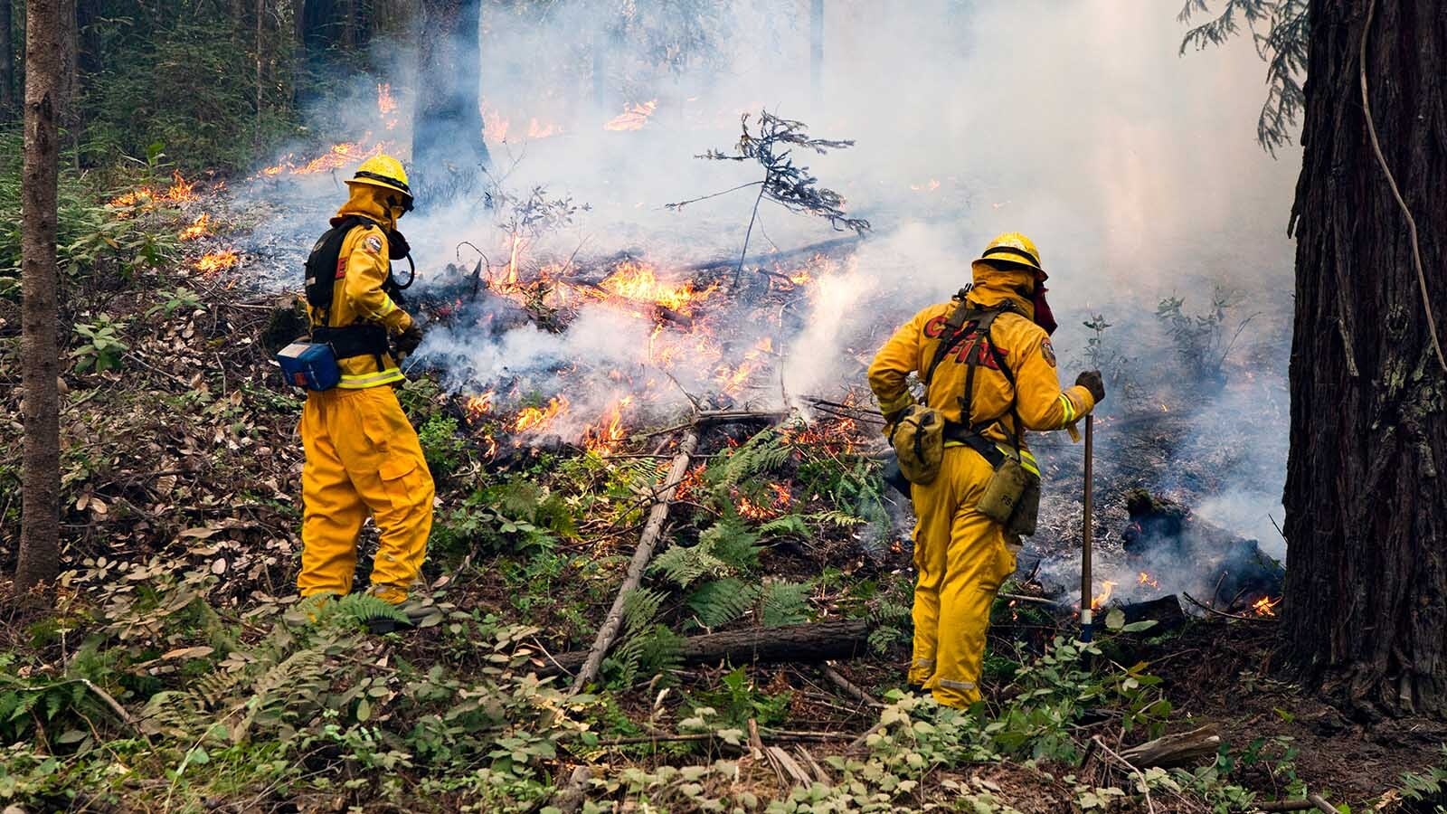 The U.S. Forest Service has lifted a decades-long ban on wildland firefighters wearing masks. The move comes too late for a Lander firefighter who had to retire early with damaged lungs, but he says they’re a good idea — if the right mask is used.