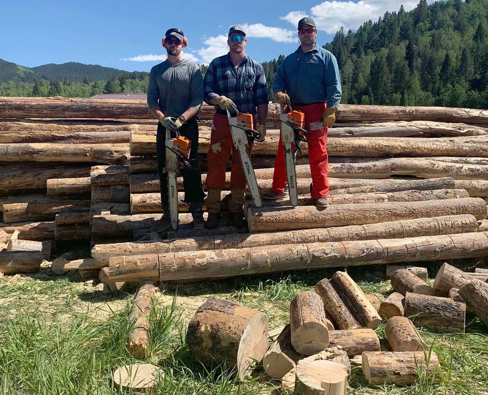Phil Loftus and a friend have been purchasing truckloads of logs and splitting the wood themselves.