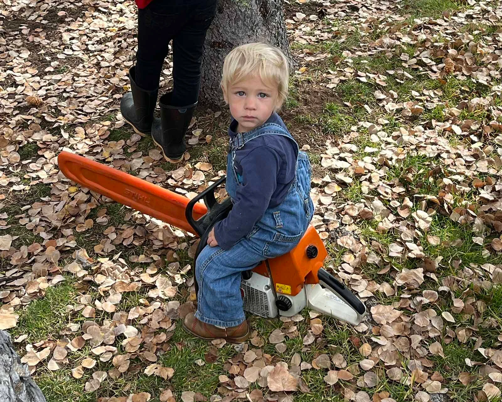 The work of preparing firewood for winter remains part of family life for the Loftuses. Son Lander helps in his own ways.