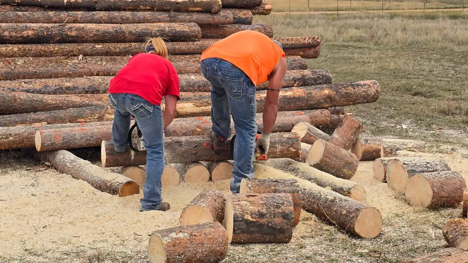 Is Heating With Firewood Still Worth It? For Some Wyoming Families, It ...