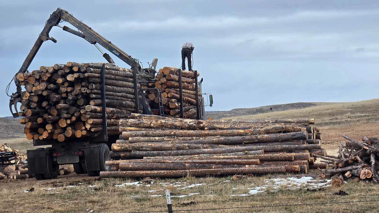 Andy and Nikki Ward are in their second season of selling firewood through Bear Claw LLC, taking over a business from a longtime Sheridan firewood seller who had built up a regular customer base.