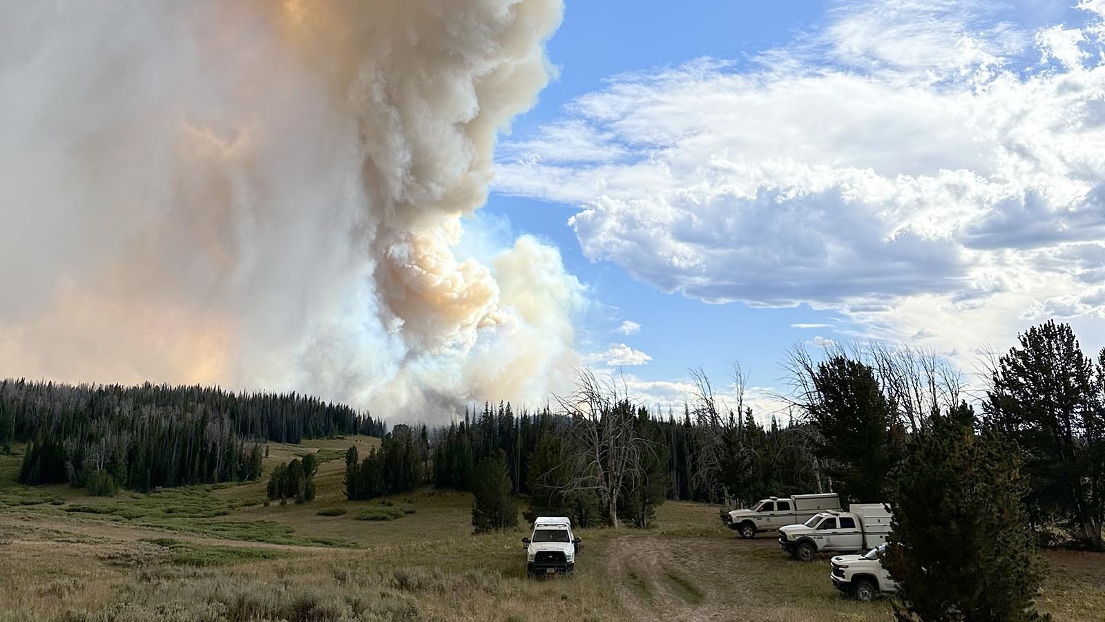 Smoke churns from the Fish Creek Fire, which is devouring dead trees off of Togwotee Pass in northwest Wyoming.