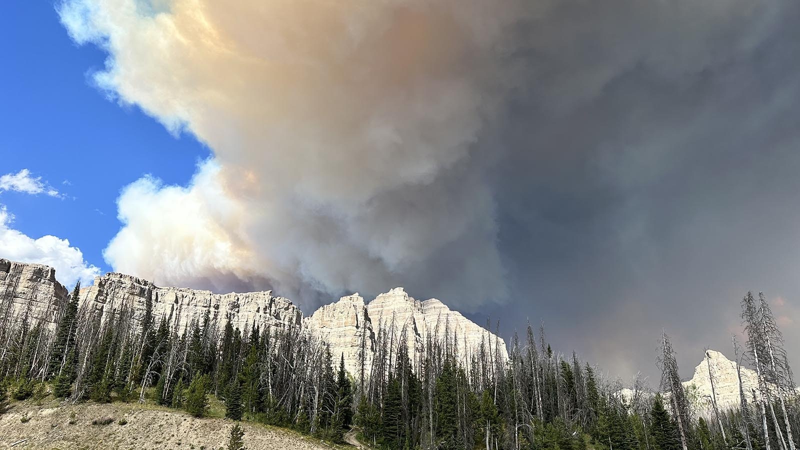 Smoke churns from the Fish Creek Fire, which is devouring dead trees off of Togwotee Pass in northwest Wyoming.