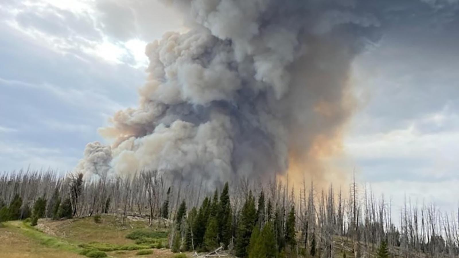 A large plume of smoke rises from the Constitution Fire northeast of Gillette, which is also burning in some timber, which is more difficult to fight.