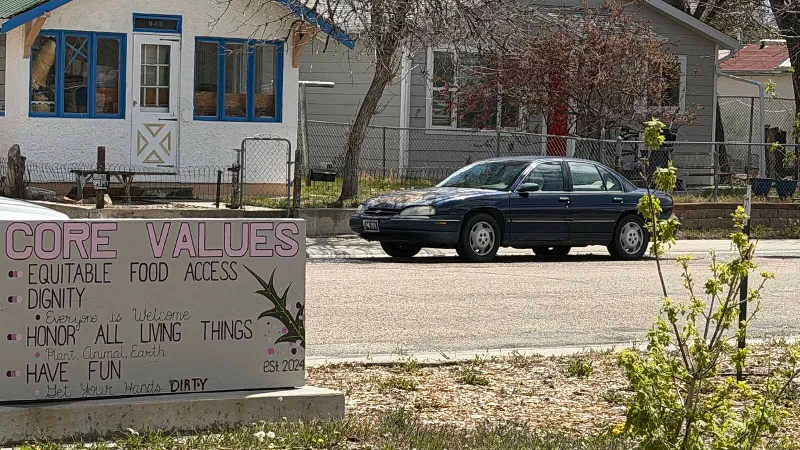 Urban Thistle doesn’t waste anything at its operation in a former north Casper elementary school. That includes the poop from the fish it raises, which becomes fertilizer that’s growing rows of “Jurassic” sized leafy greens.