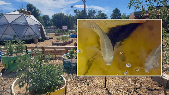Inside A Casper School Turned Farm That’s Growing Affordable Food With ...
