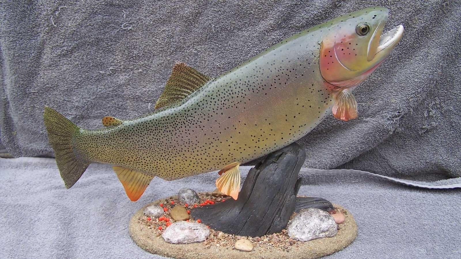 Great fish taxidermy requires methodical skill and a good sense of color balance, said taxidermist Allen Darlington.
