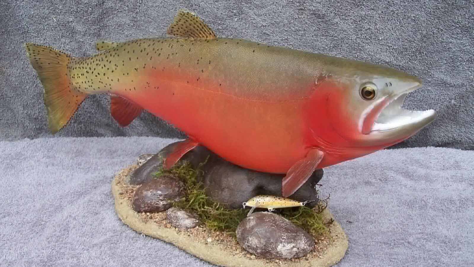 Great fish taxidermy requires methodical skill and a good sense of color balance, said taxidermist Allen Darlington.
