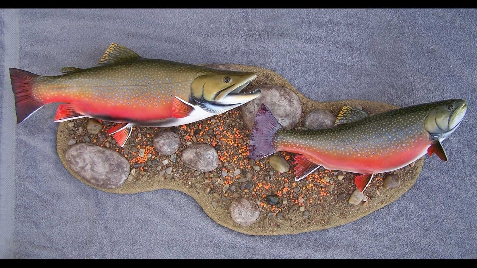 Great fish taxidermy requires methodical skill and a good sense of color balance, said taxidermist Allen Darlington.