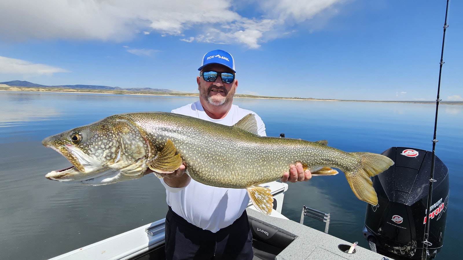 When fishermen do land decent-sized fish at Flaming Gorge Reservoir, they're obviously emaciated and starving.