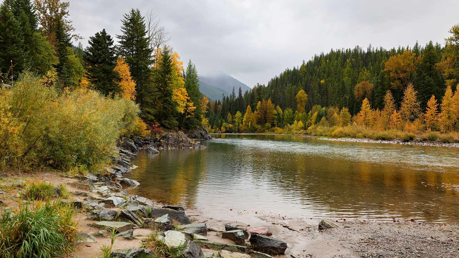 Fall along the Flathead River in Montana.