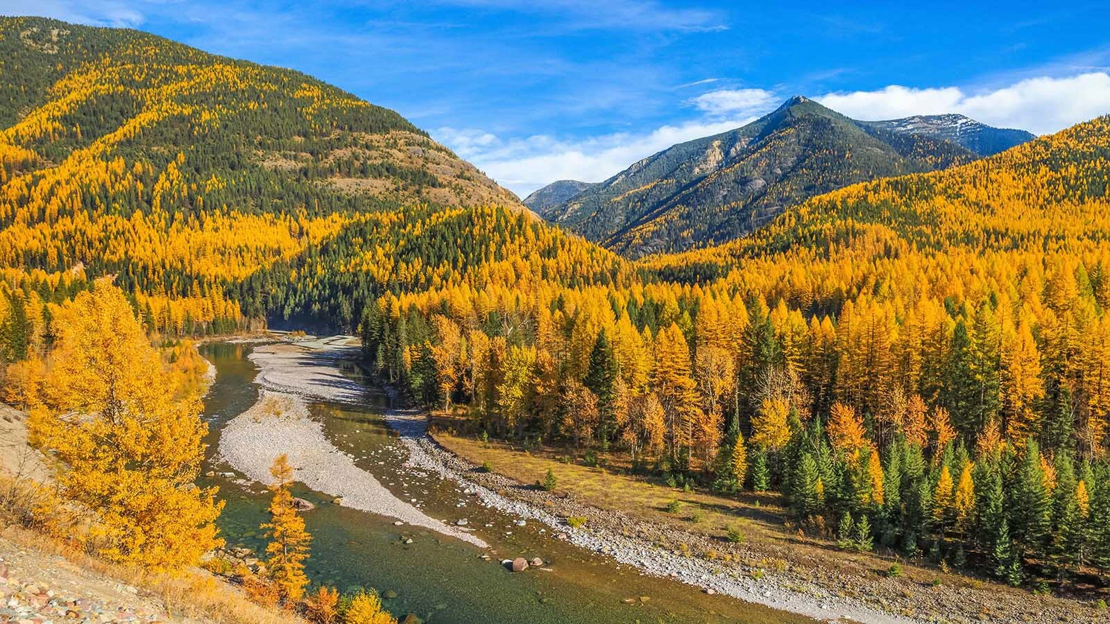 Fall colors along the Flathead River in Montana.