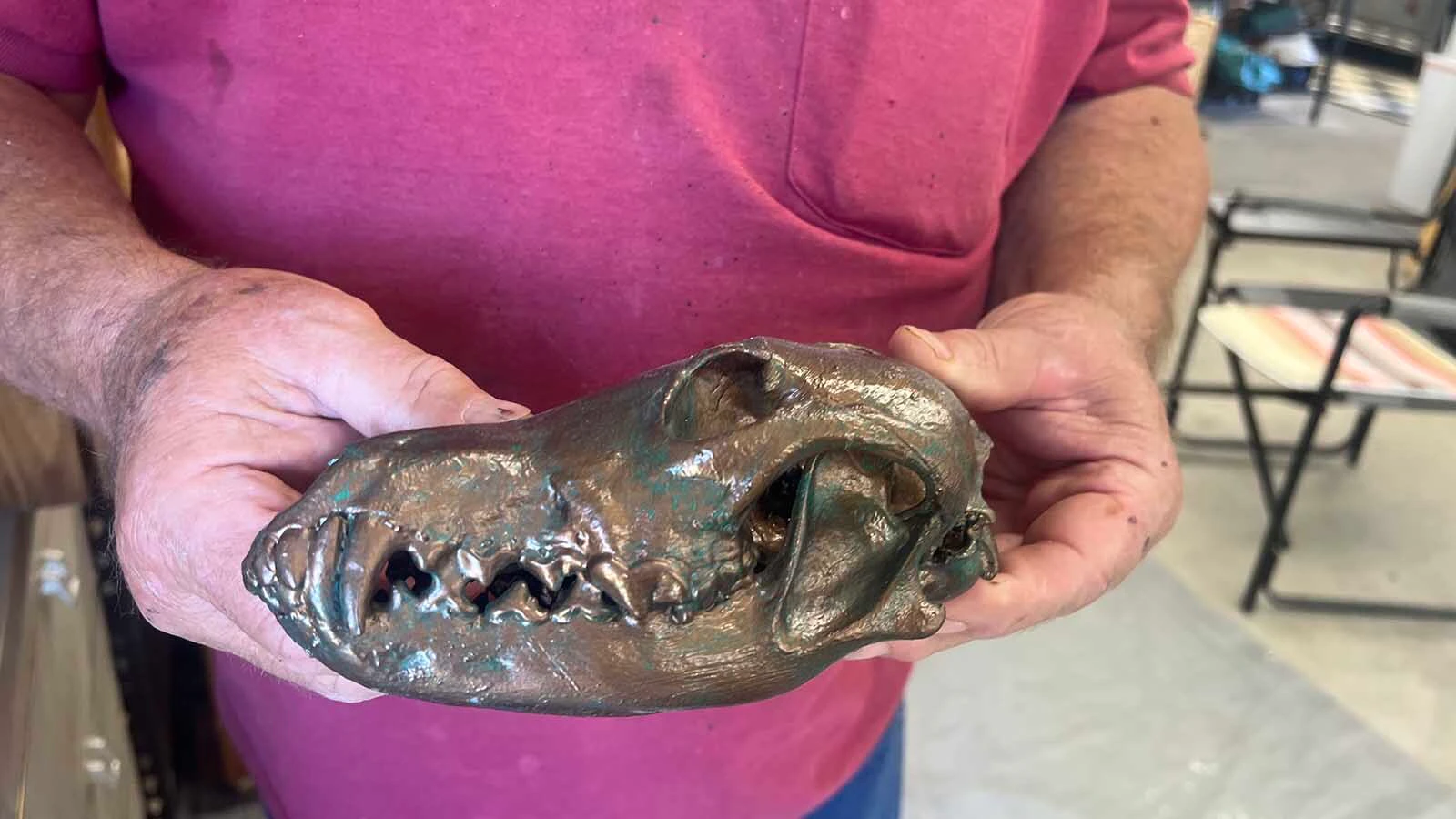 Bronzed big game and trophy game skulls are one of the products offered by C&J’s Bug Barn in Thermopolis.