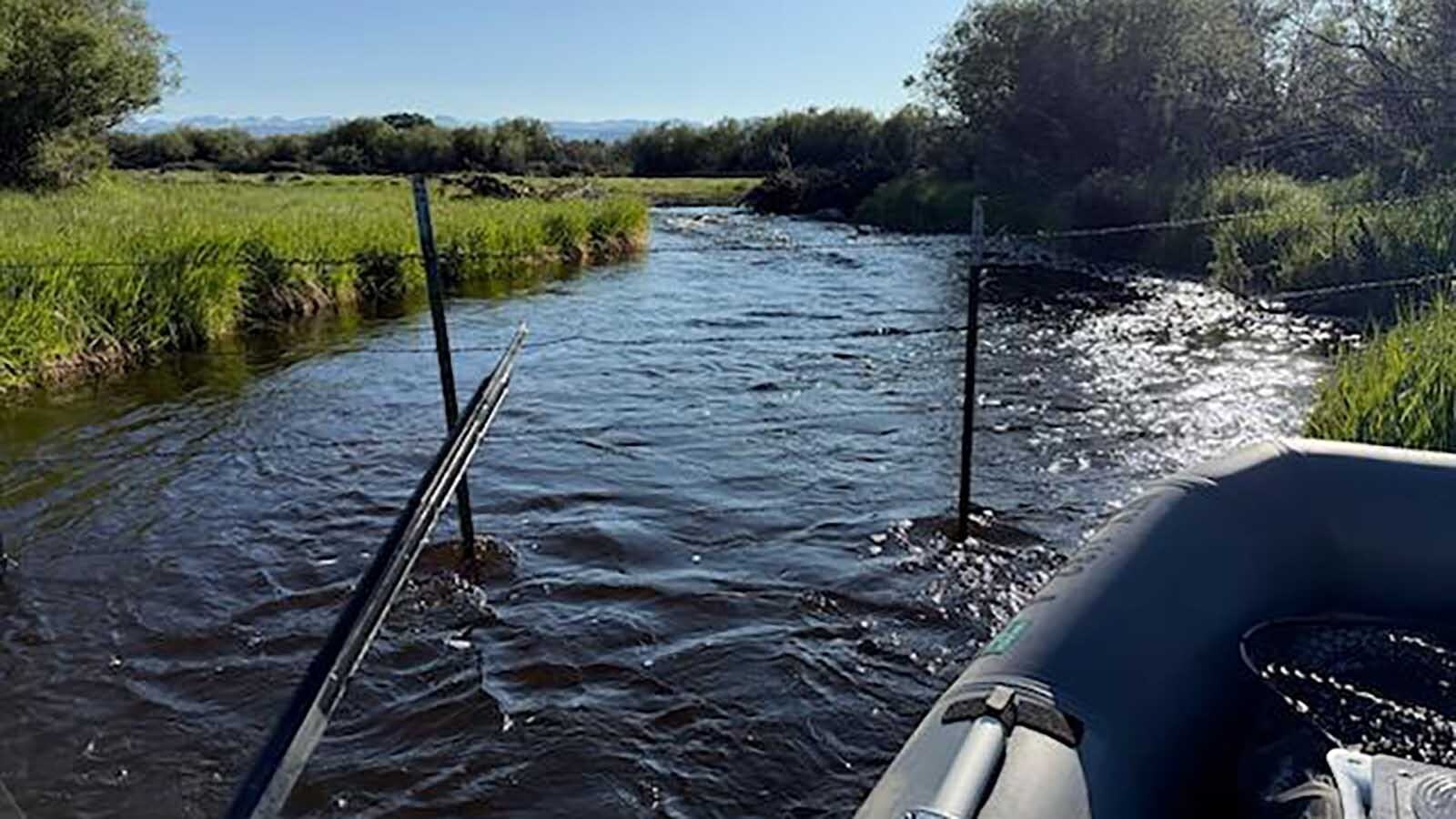 Controversy has been stirring regarding a channel connecting Pine Creek and the New Fork River near Pinedale. Anglers have used the channel to move boats between the creek and river for years, but now some are alleging that a landowner there is blocking it off.