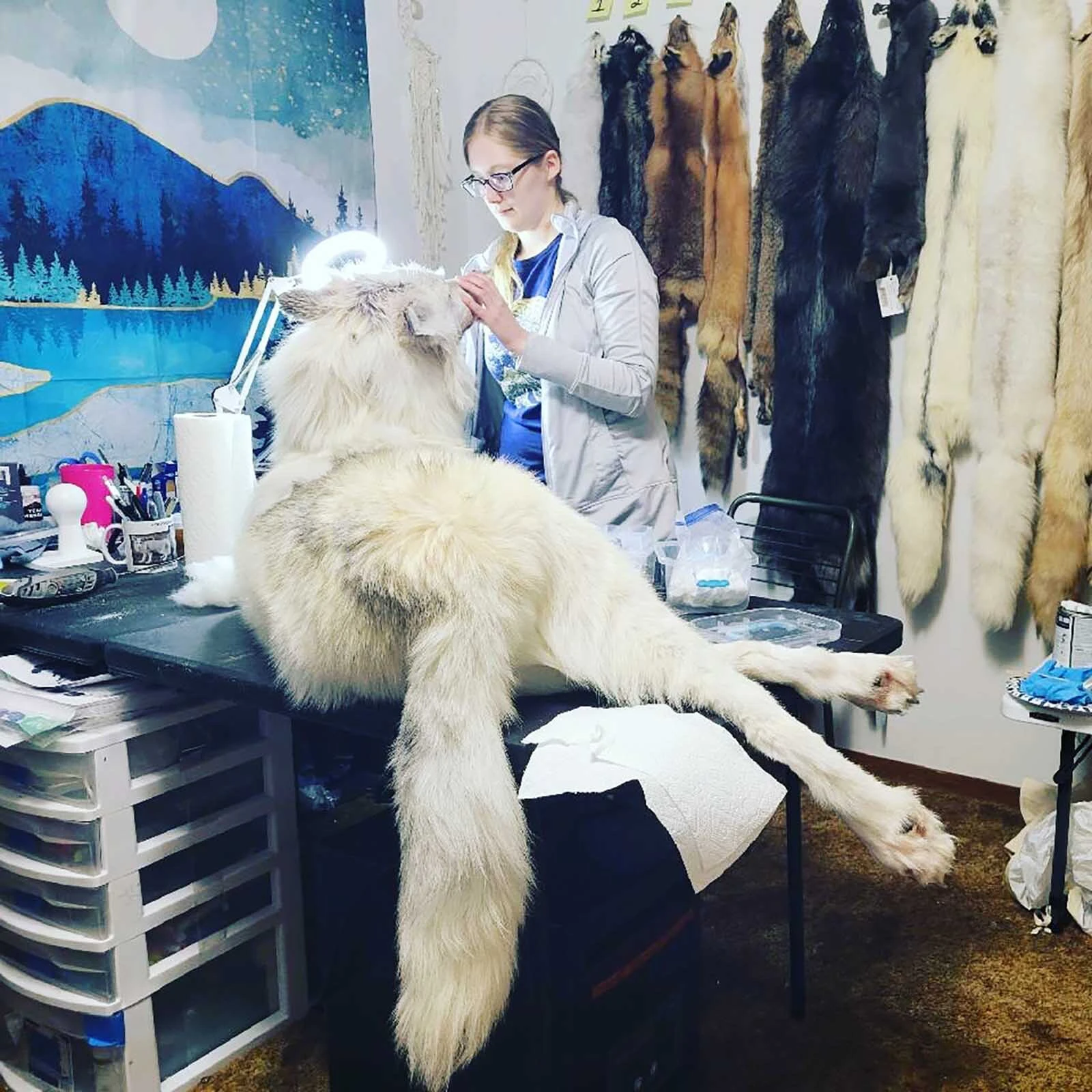 Chandra Ahlquist owns Sterling Fox Taxidermy in Loveland, Colorado, where she makes floppy taxidermied animals — what she calls "the ultimate couch companions."