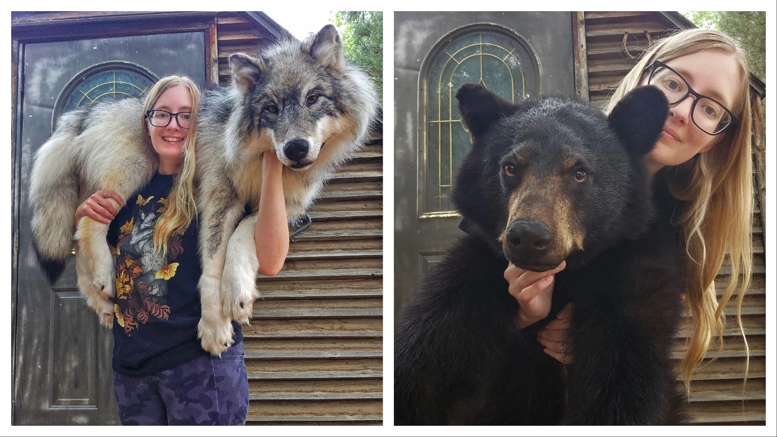 Chandra Ahlquist owns Sterling Fox Taxidermy in Loveland, Colorado, where she makes floppy taxidermied animals — what she calls "the ultimate couch companions."