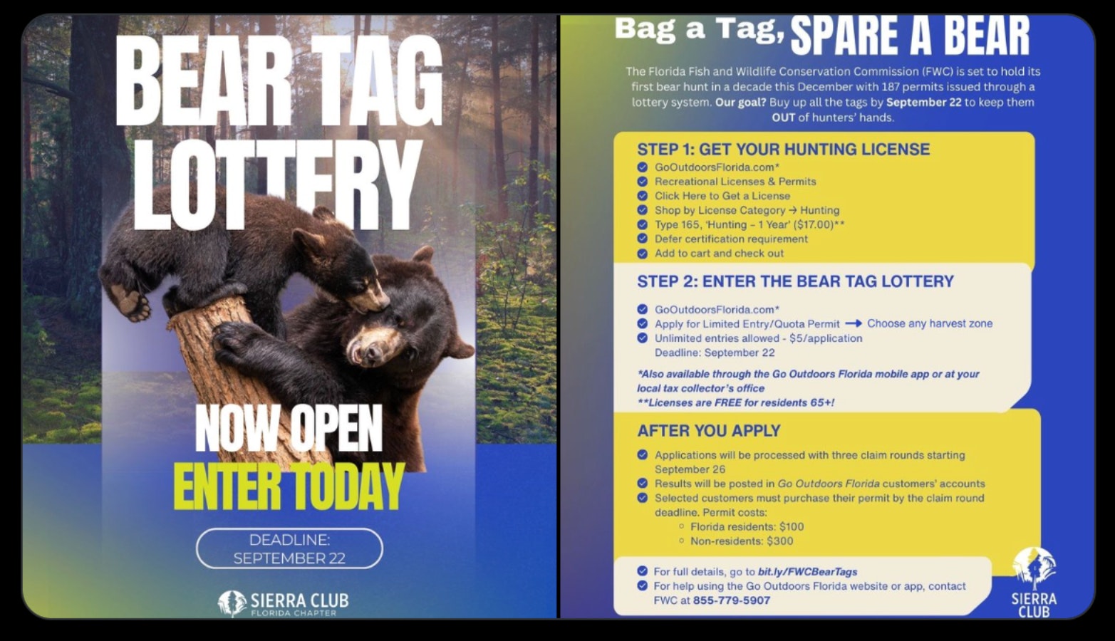 Sierra Club Florida launched a campaign to buy up all the black bear hunting tags