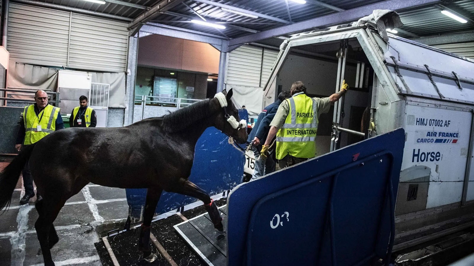 A horse is loaded into an equine transport cargo box in this file photo.