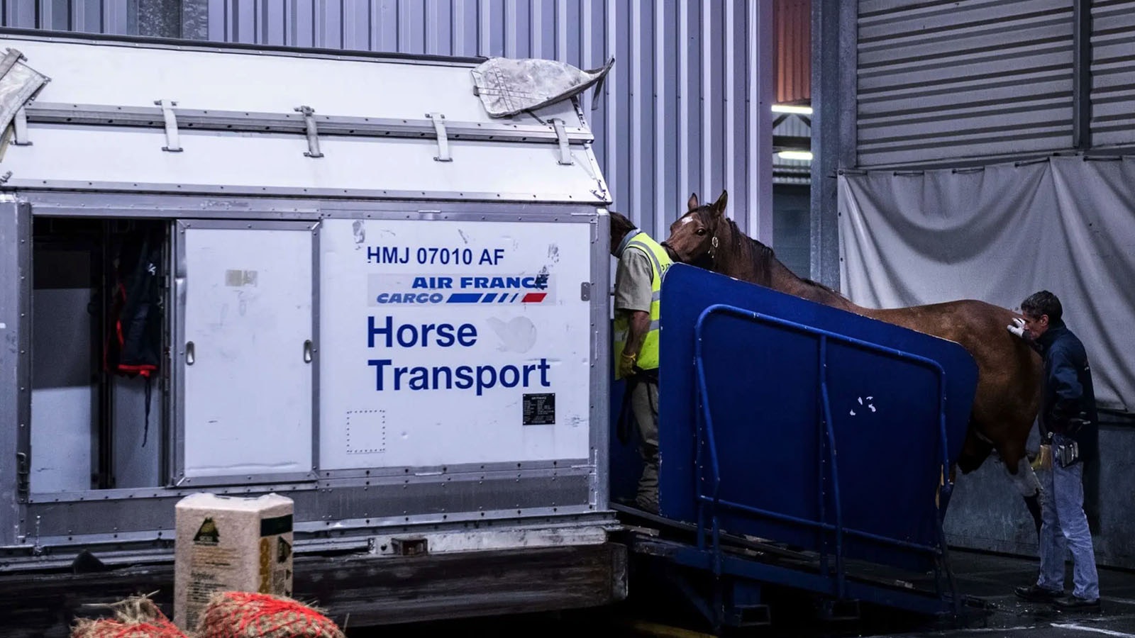 A horse is loaded into an equine transport cargo box in this file photo.