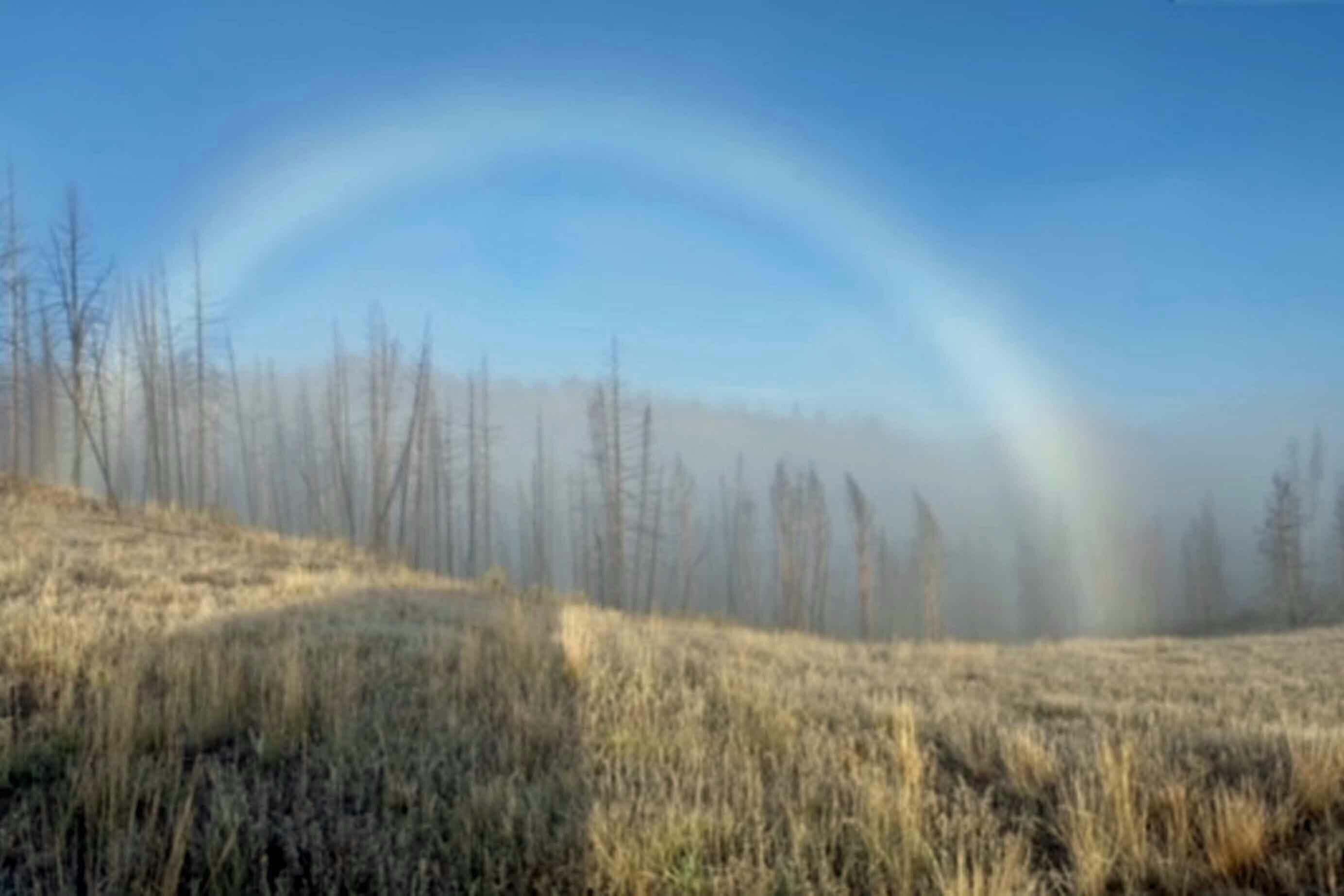 Tara Holzinger captured this image of a fogbow — also called a ghost rainbow — while walking Sunday in the Hoback Range near Bondurant.