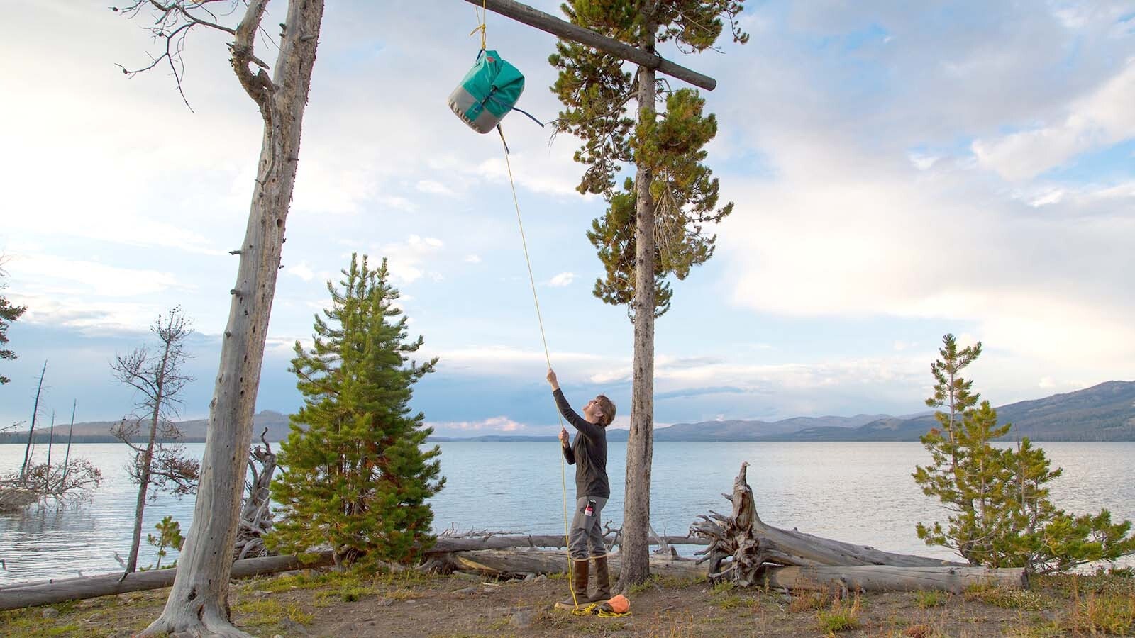 Campers in Yellowstone National Park are required to put their food up on high food storage poles or in provided bear-proof containers. A black bear had to be put down July 11 after several incidents, including knocking down a food pole to get to the human food stored on it.