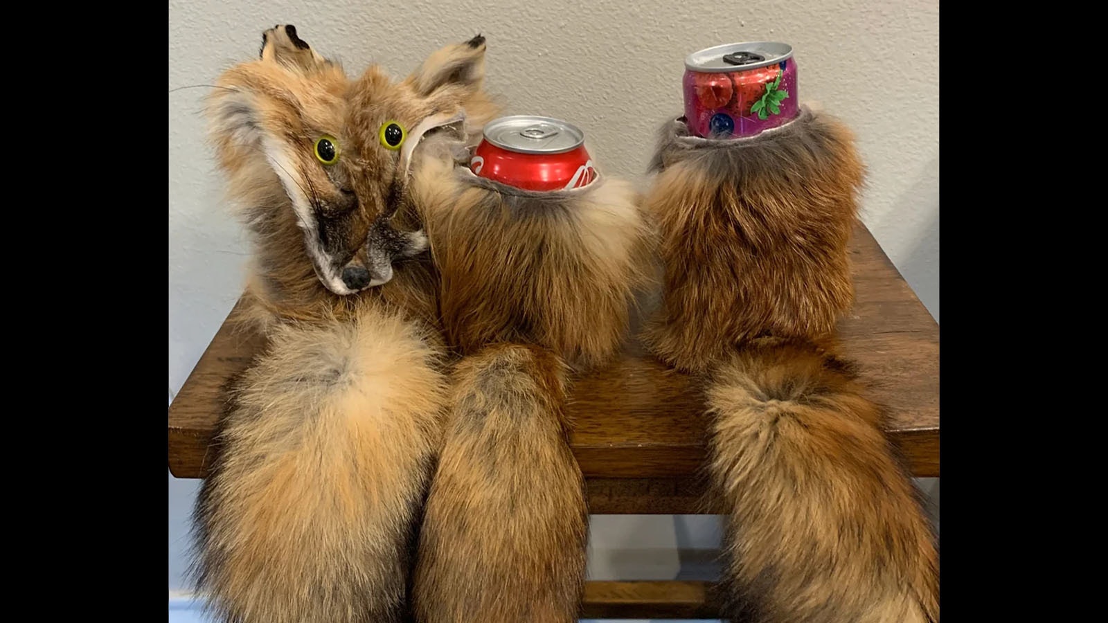 The Foozie, a koozie made from a fox.