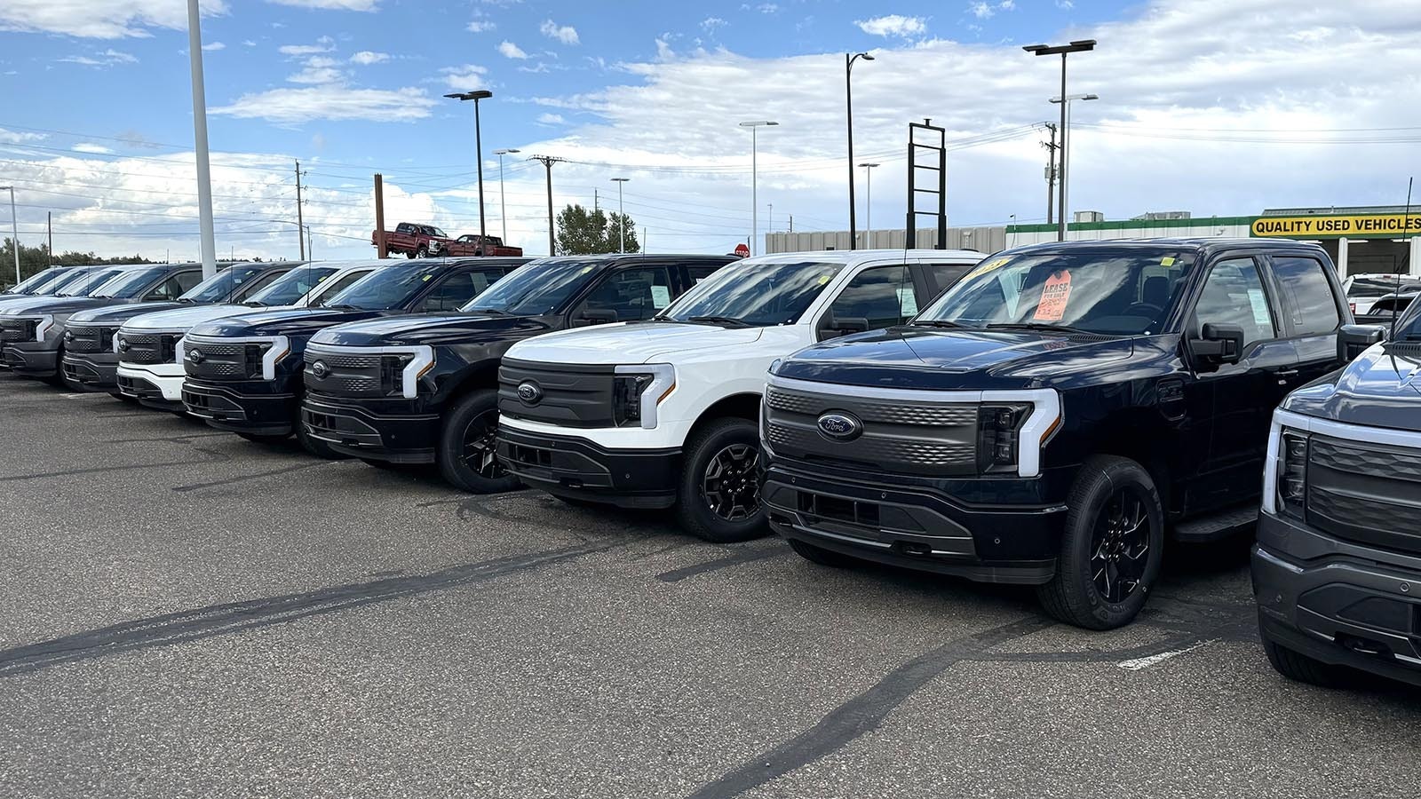 A selection of Ford F-150 Lightning electric trucks at Ken Garff Ford in Cheyenne.