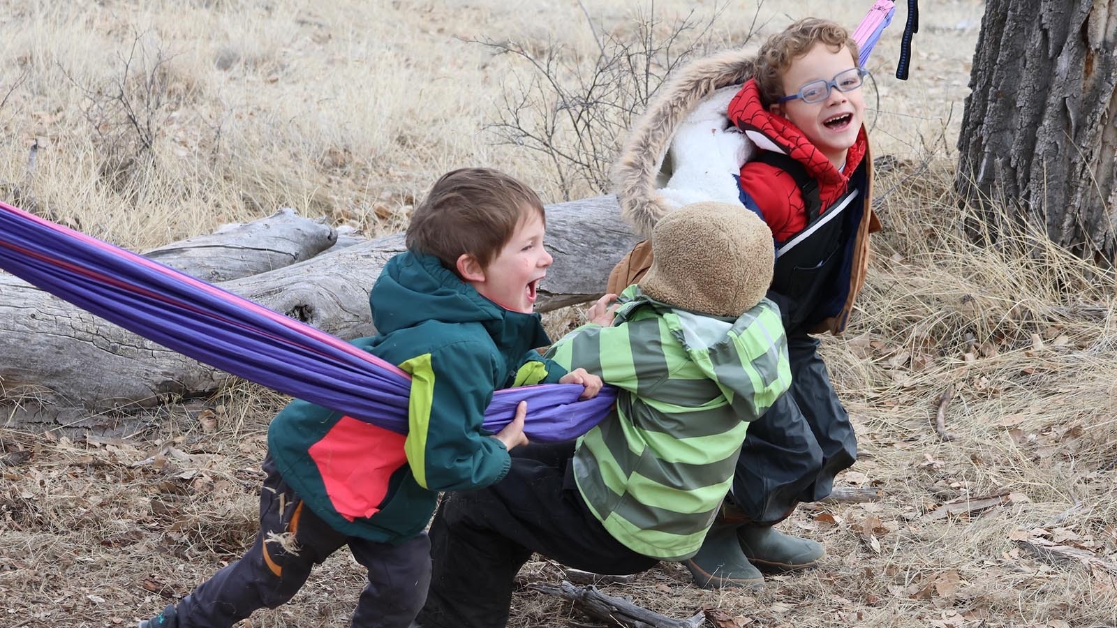 Hammocks hung between trees provide a lot of entertainment and energy release for students at the Discovery Depot Forest School.