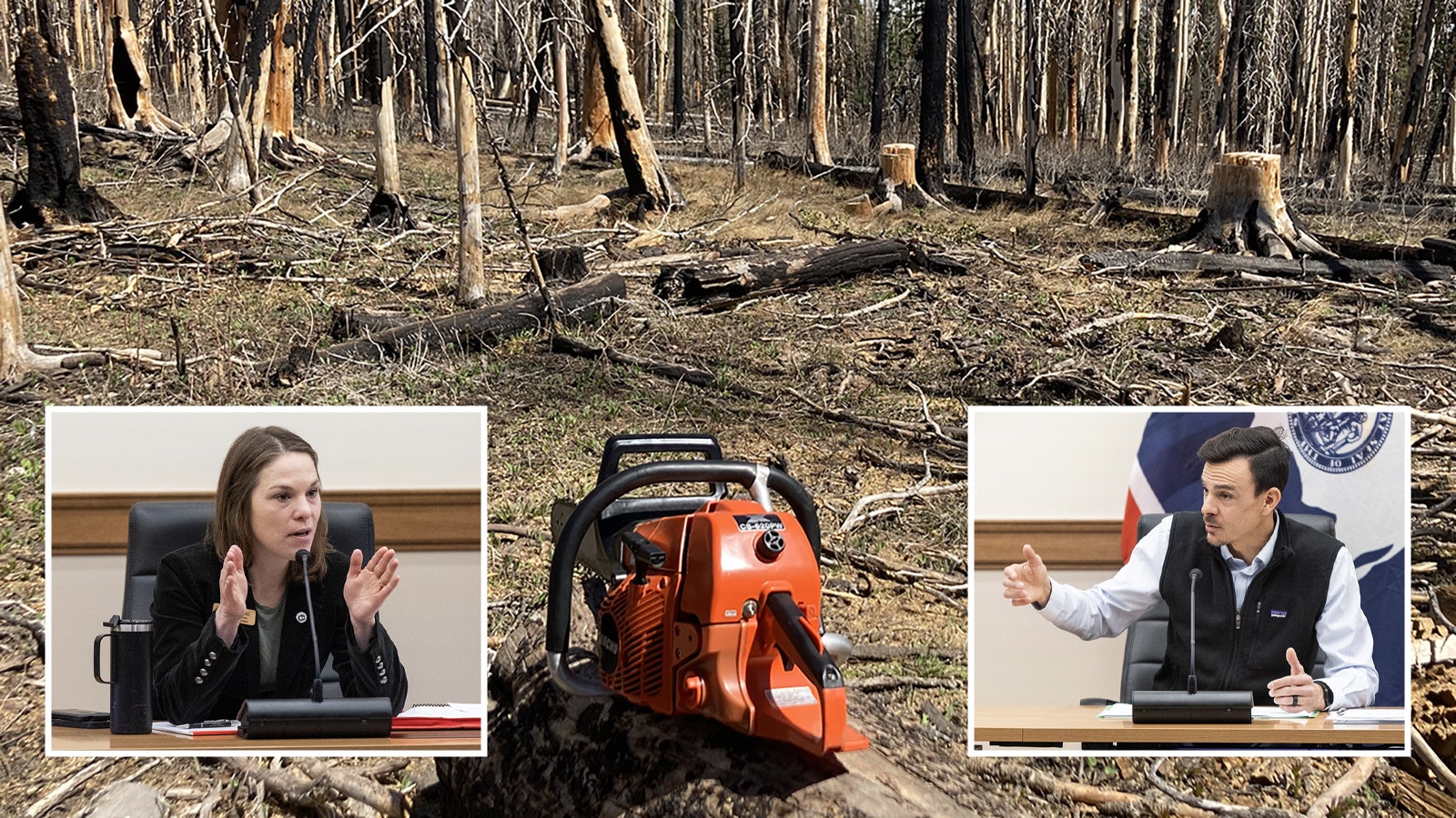 Wyoming needs to kick its timber cutting into high gear or risk another catastrophic wildfire season, foresters told the Legislature on Tuesday. The danger is especially high in the Black Hills region, they say. Above, Wyoming State Forester Kelly Norris, left, and U.S. Forest Service regional forester Troy Heithecker testify for legislators.