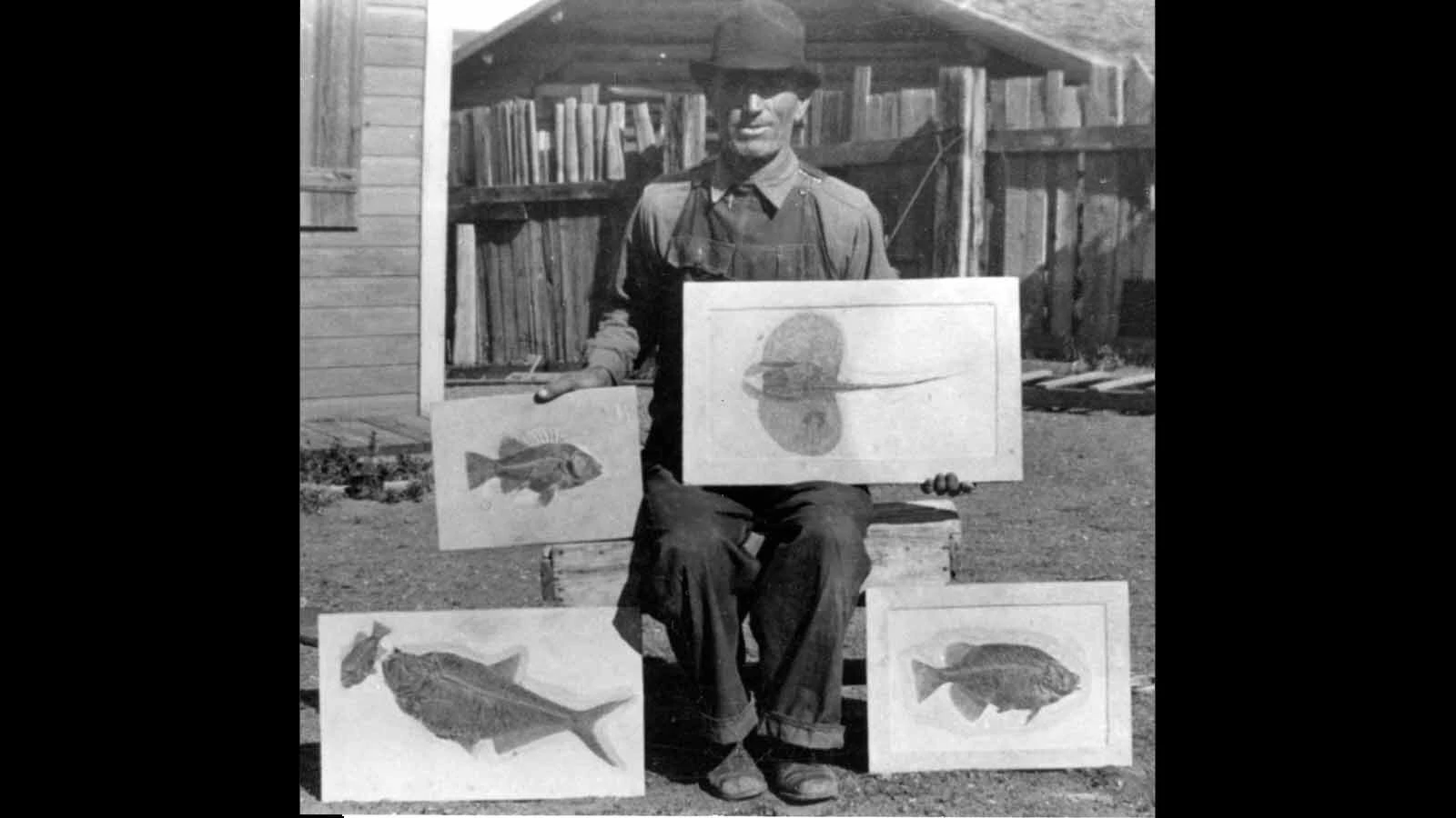 David Haddenham with some of his fossils including a stingray.