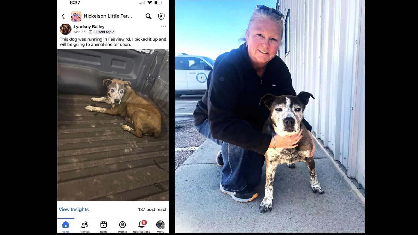 Left, Lyndsey Bailey was on her way to work in late March when she picked up a scared, skinny dog near Kissacks’ property. Right, the day Vicki Kissack picked up Ziva to take home again.