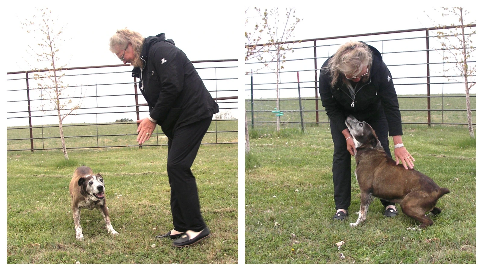 Vicky Kissack with Ziva, who ran away 10 years ago then stunned her Gillette-area family by returning a decade later.