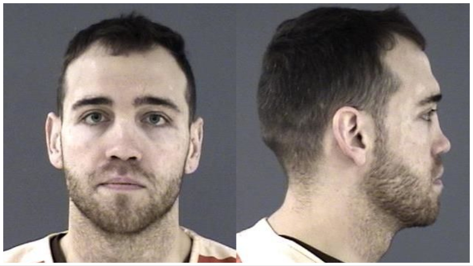 Frank Mc Henry booking photo