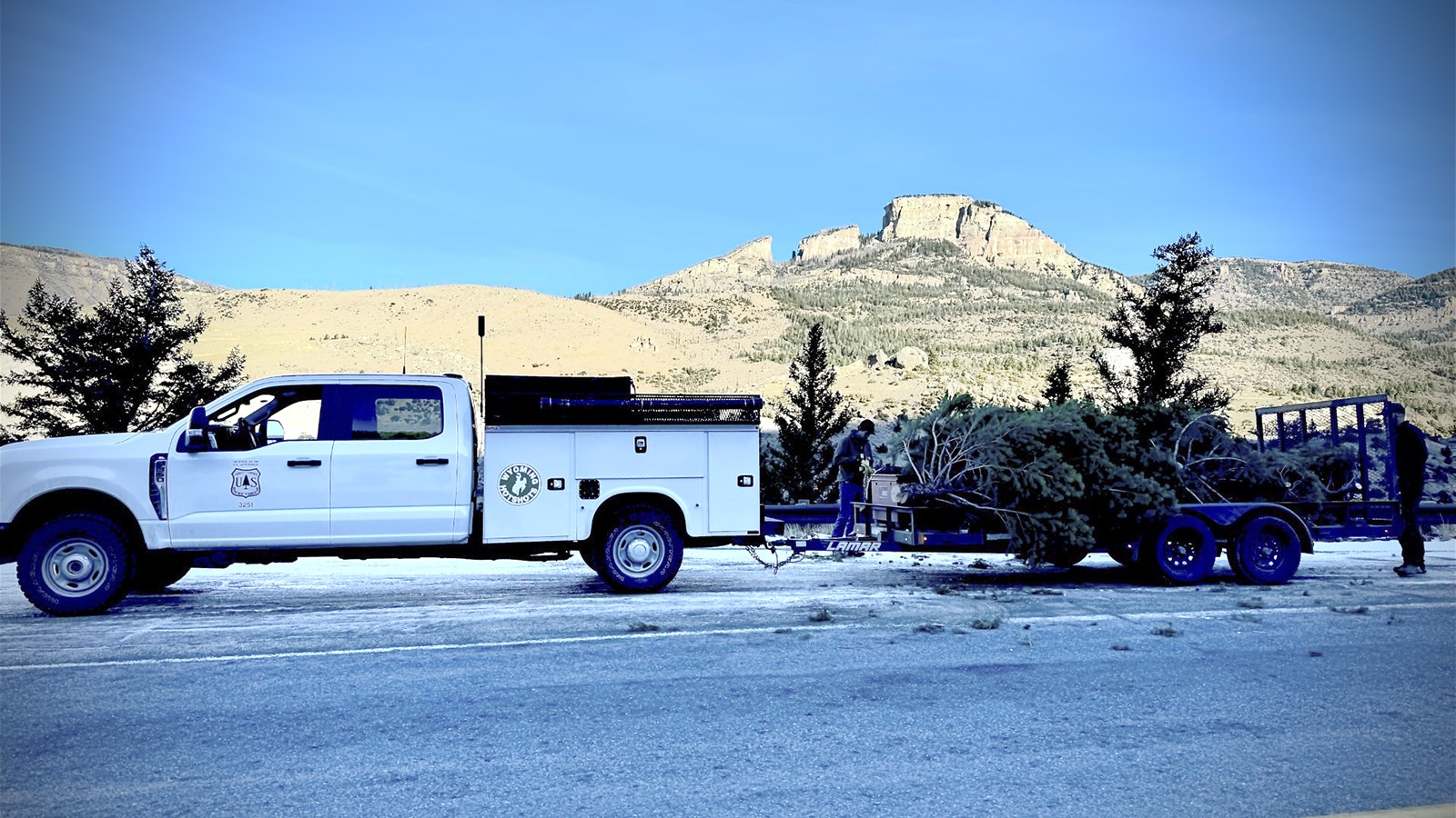 The Wyoming Interagency Hotshot truck and trailer after U.S. Forest Service staff had harvested trees in the Bighorn National Forest, Medicine Wheel District.